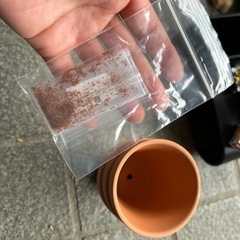 水槽用品の画像