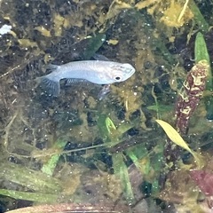 リホイミ出張買取サービス − 福岡県