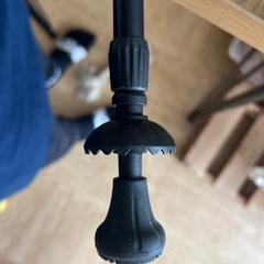 ノルディックポールの画像