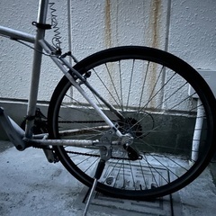 自転車　スポーツ　ロードバイクの画像