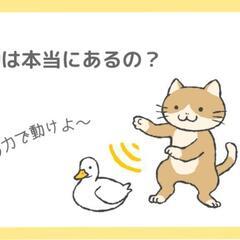 氣功エネルギーなど感じる体質の方