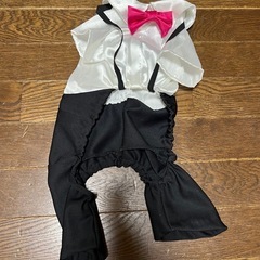 犬・
服・タキシード