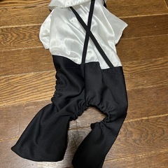 犬・
服・タキシードの画像