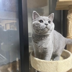 受付終了しました − 山形県