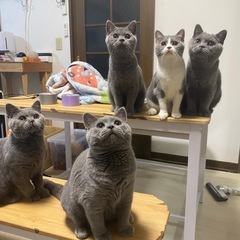 受付終了しました - 村山市