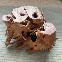 木の置物　オブジェの画像