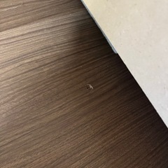 ニトリ　ソファベッドの画像