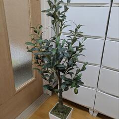 【取引中】オリーブの木（人工観葉植物）