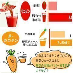 ①ミキサー氷肉は？みじん切り。フードプロセッサーの画像