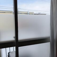 猫 壁紙保護シート静電気吸着 壁紙シール はがせるの画像