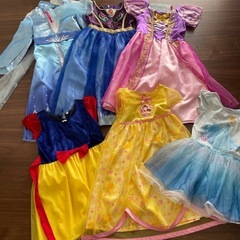 🐍受付中🐍プリンセスドレスセット