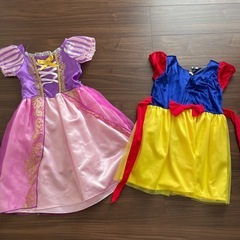 🐍受付中🐍プリンセスドレスセットの画像