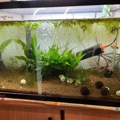 水槽、ライト、