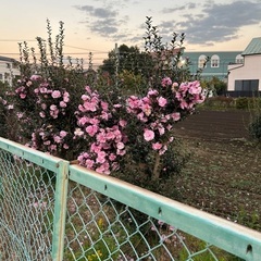 今から、会えませんか❓^_^ − 東京都