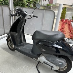 トゥディ(ホンダ)原付
の画像