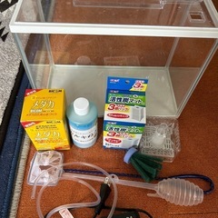 メダカセット