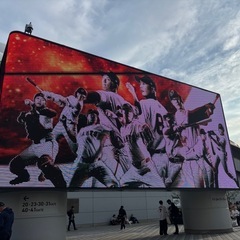 一緒に野球観戦したい！！