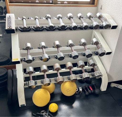 向井潤吉　リトグラフ　杏花村 向井潤吉 リトグラフ 杏花村 【公式通販】