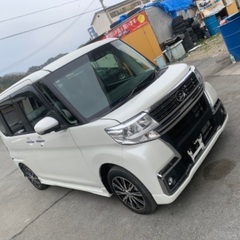 まだ綺麗ですの画像