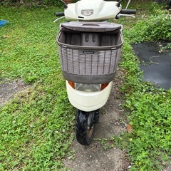 DIOチェスタ　現状車