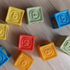 ソフトレゴの画像