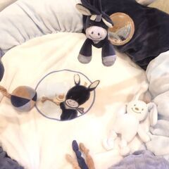 ☆555☆プレイジム　NATTOU　ナチュー　プレイマット　赤ちゃん　室内遊び　ねんね期　新生児～　ブルーの画像