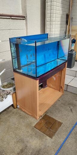 90cm オーバーフロー水槽