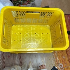 収穫用コンテナ 収納の画像