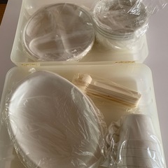アウトドア食器プラスティック防災用ピクニックセット