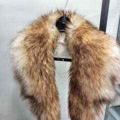サガフォックスショールの画像