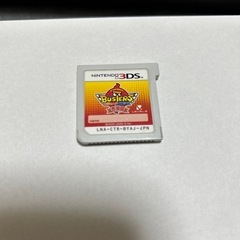 3DS ソフト
