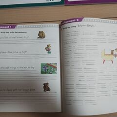 GRAPE SEED グレープシード　英語教材　小学3年生　12冊セットの画像