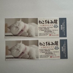 ねこ休み展 招待チケット2枚セット