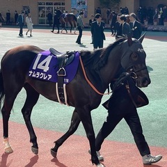 競馬をきっかけに仲良くなろう！競馬友達募集☆ - メンバー募集