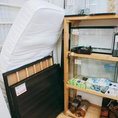 シングルベッド✨マットレス付✨ダークブラウン✨木製フレーム 【浜村鹿野温泉ICから3分 買取本舗、 宮本リサイクル 営業時間9～19時 定休日水曜のみ←連絡できませんm(_ _)m】の画像