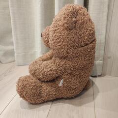 ジェラートピケ　テディベアの画像