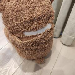 ジェラートピケ　テディベアの画像