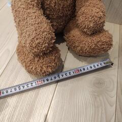 ジェラートピケ　テディベアの画像