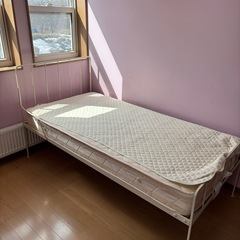 ベット