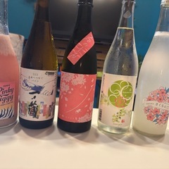 4月　日本酒やその他お酒一緒に飲める方募集中！