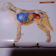 動物看護．参考書の画像