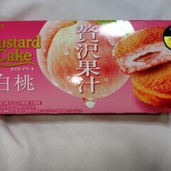 カスタードケーキ