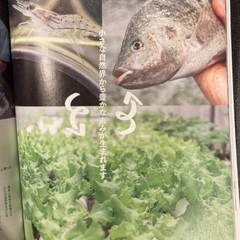 ソトコト 🌏 SDGs入門〜地球環境編〜 📙の画像