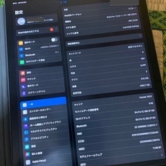 iPad Pro 12.9インチ