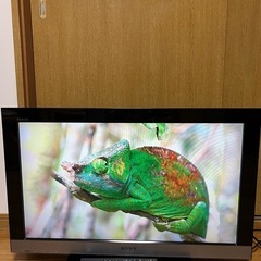 テレビ&ドライヤー