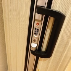 大型スーツケース　113L  3L  ホワイトの画像