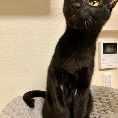 おしゃべり甘えたボーイ♡ぼじ君