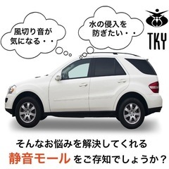 Z型 ドアモール 風切り音防止テープ ウェザーストリップ 静音モール 2m 防音 デットニング 隙間 音漏れ 防振 遮音 の画像