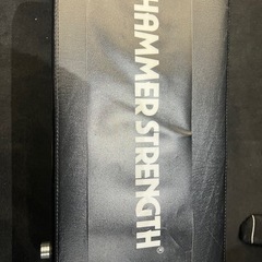 アシストチンニング/ディップス
の画像