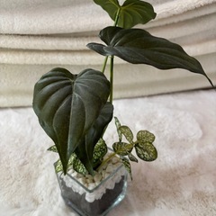 観葉植物（造花）
